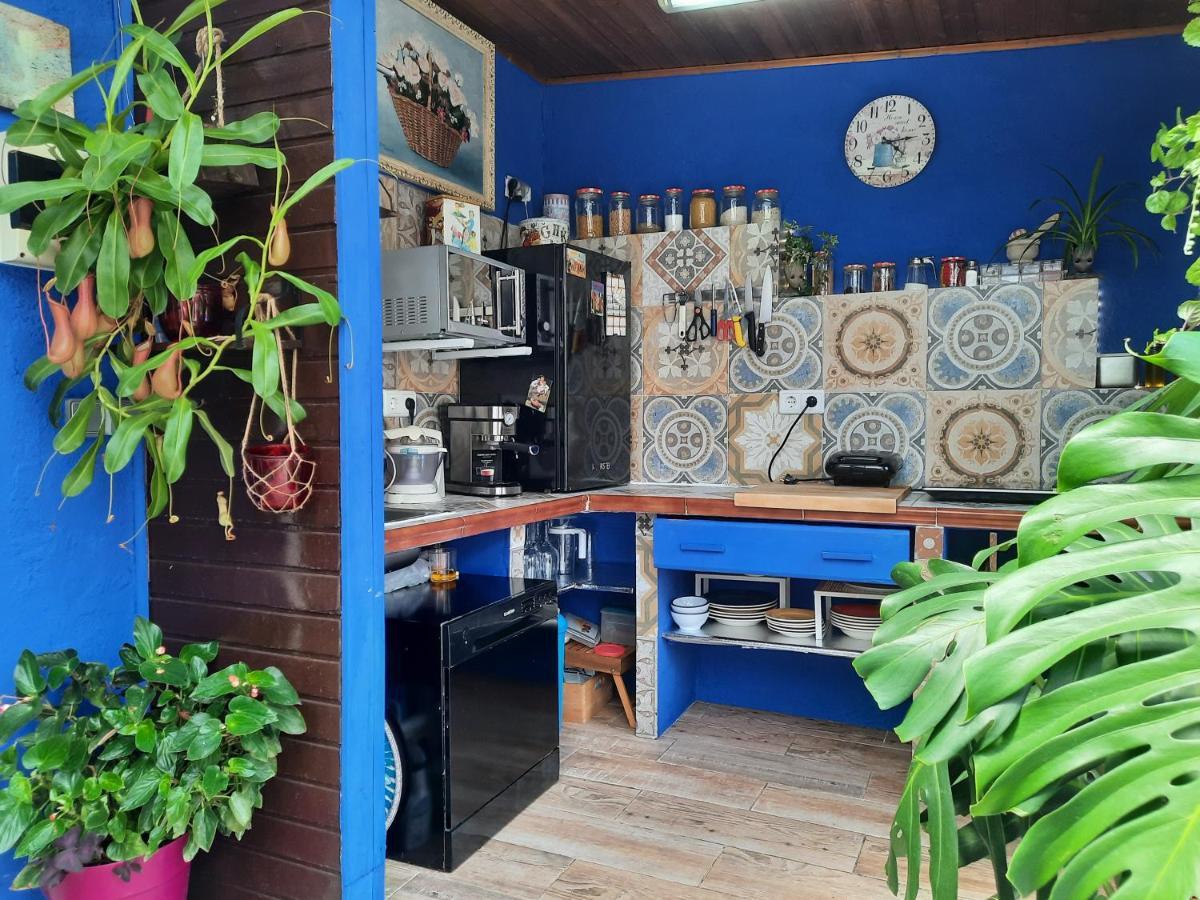 Loft Con Jardin Villa มาดริด ภายนอก รูปภาพ
