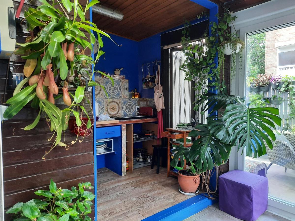 Loft Con Jardin Villa มาดริด ภายนอก รูปภาพ